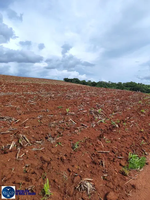 Foto 5 de Fazenda / Haras com 4 quartos à venda, 333m2 em Itaucu - GO
