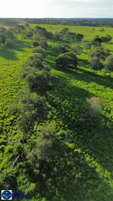 Foto 4 de Fazenda / Haras com 3 quartos à venda, 102m2 em Jussara - GO
