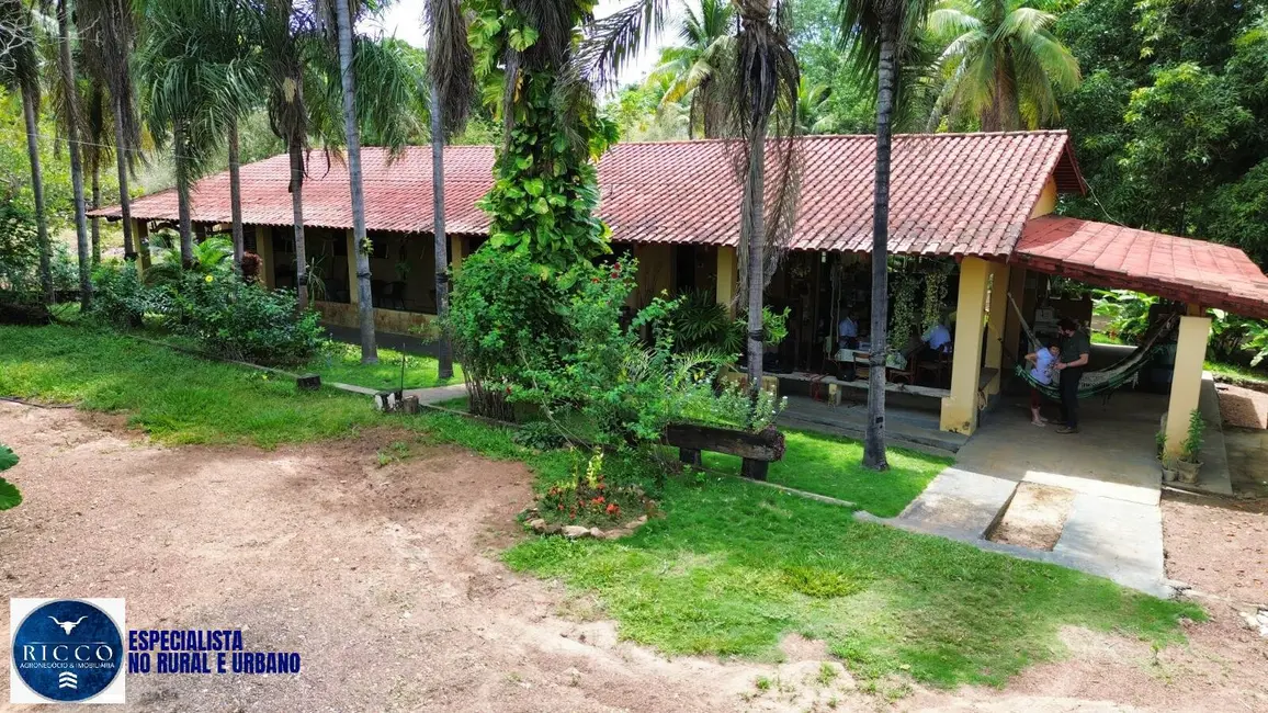 Foto 2 de Fazenda / Haras com 3 quartos à venda, 102m2 em Jussara - GO