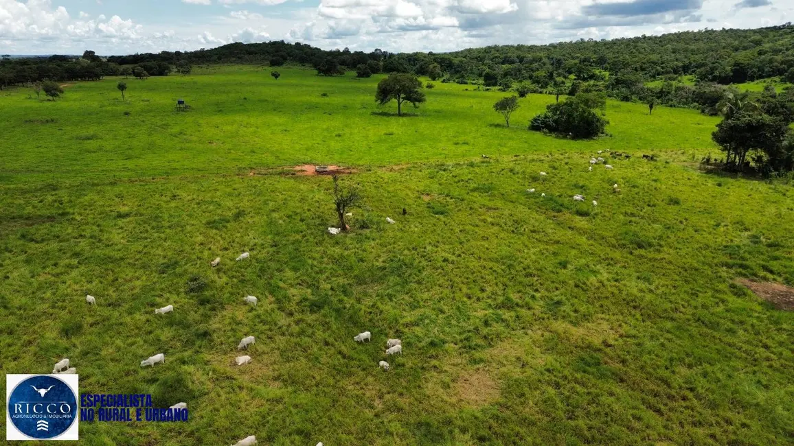 Foto 7 de Fazenda / Haras com 3 quartos à venda, 102m2 em Jussara - GO
