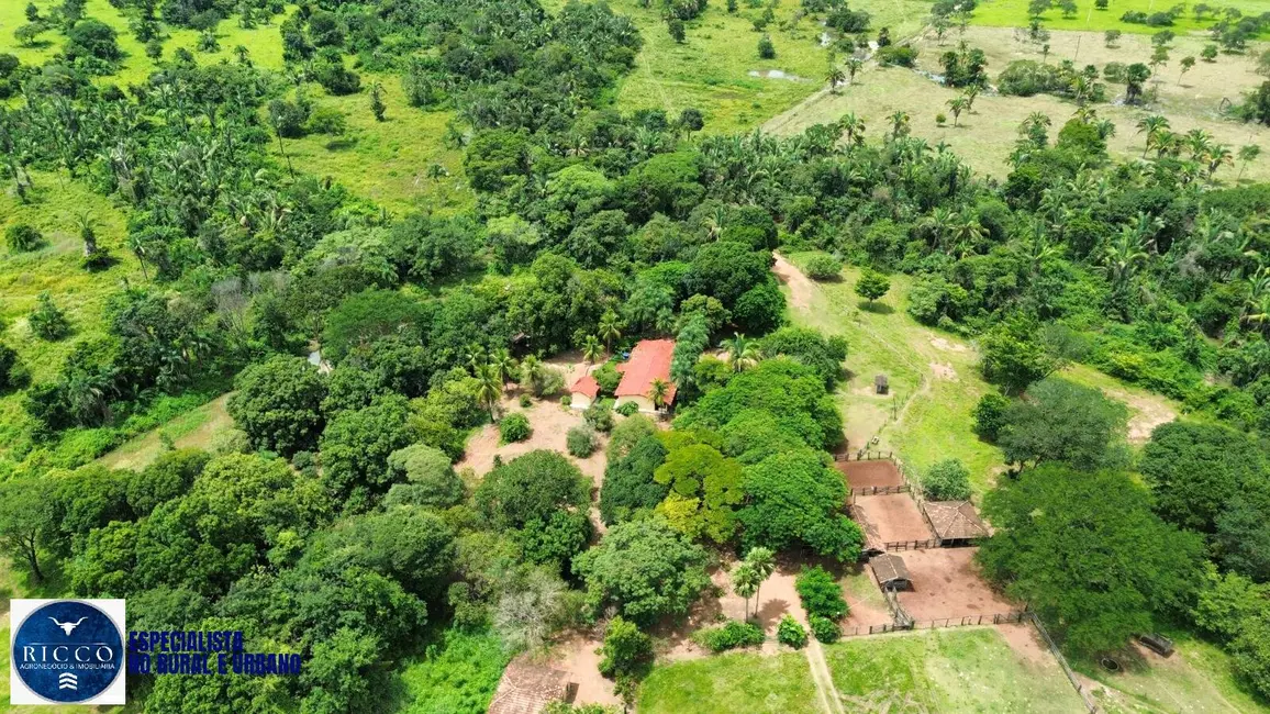Foto 1 de Fazenda / Haras com 3 quartos à venda, 102m2 em Jussara, GO