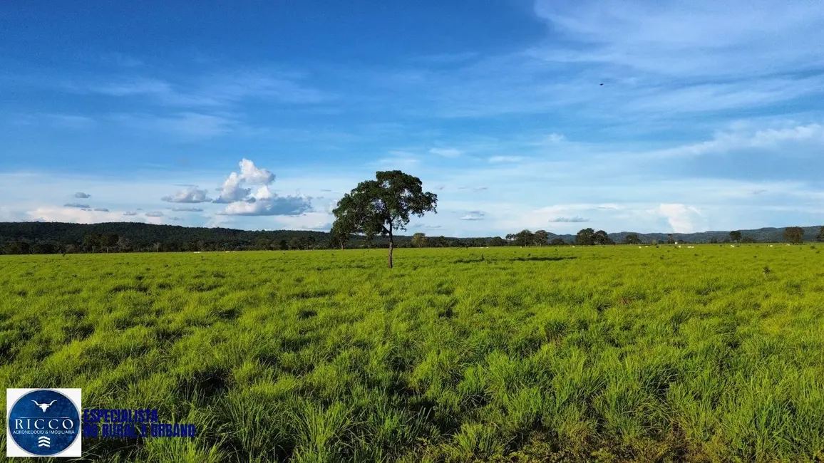 Foto 3 de Fazenda / Haras com 3 quartos à venda, 102m2 em Jussara - GO