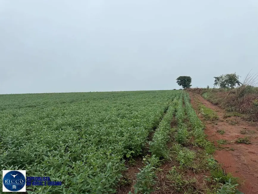 Foto 4 de Fazenda / Haras à venda, 33m2 em Montes Claros De Goias - GO