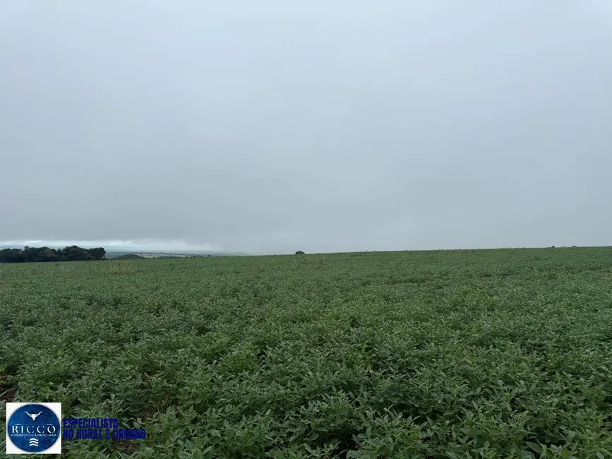 Foto 8 de Fazenda / Haras à venda, 33m2 em Montes Claros De Goias - GO