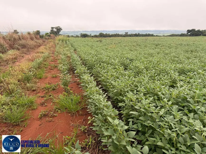 Foto 1 de Fazenda / Haras à venda, 33m2 em Montes Claros De Goias - GO