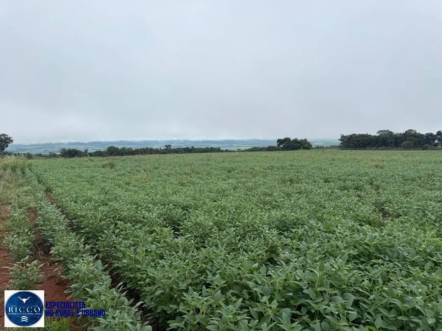 Foto 5 de Fazenda / Haras à venda, 33m2 em Montes Claros De Goias - GO