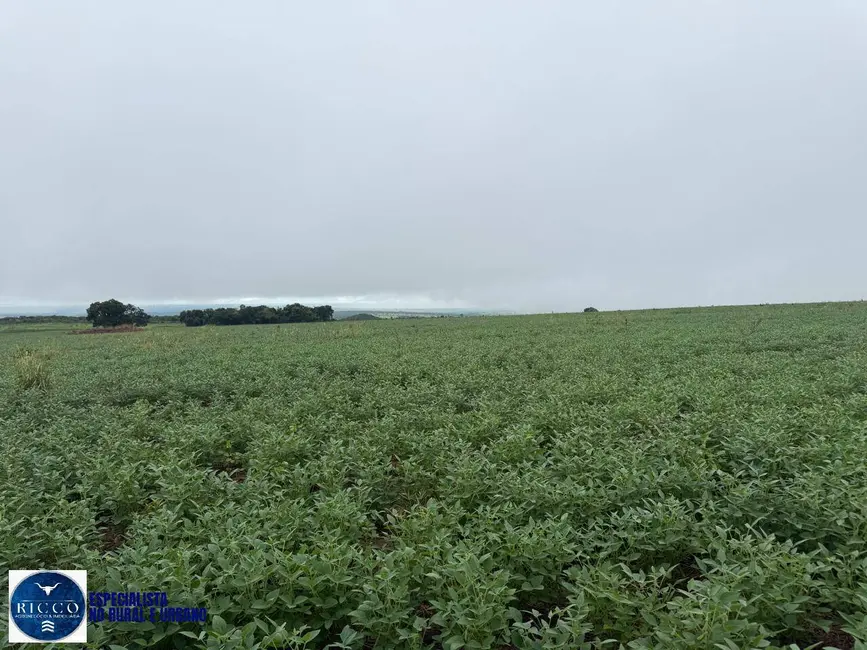 Foto 9 de Fazenda / Haras à venda, 33m2 em Montes Claros De Goias - GO