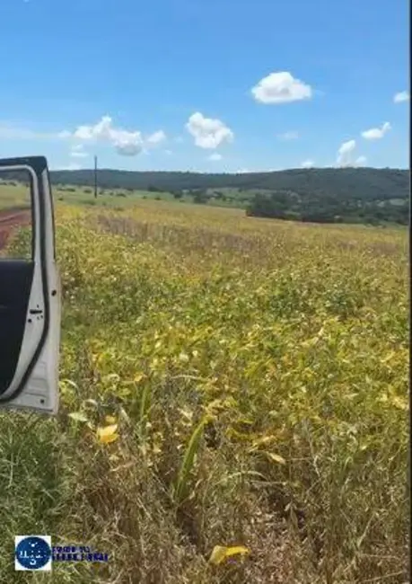 Foto 5 de Chácara à venda, 14m2 em Ipora - GO