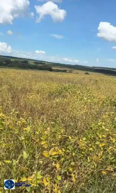 Foto 6 de Chácara à venda, 14m2 em Ipora - GO