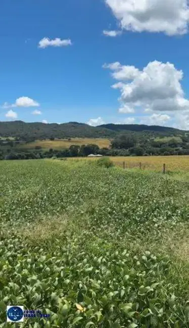 Foto 2 de Chácara à venda, 14m2 em Ipora - GO