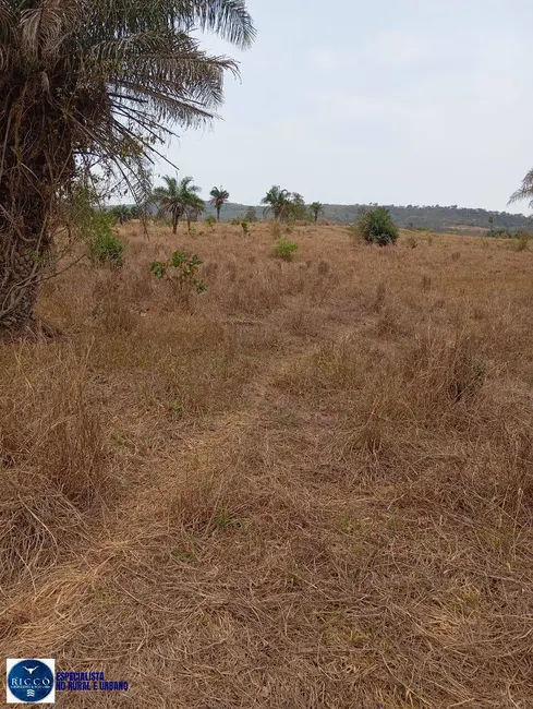 Fazenda / Haras com 3 quartos à venda, 30m2 em Ipora - GO - imagem 6 Foto 6 de Fazenda / Haras com 3 quartos à venda, 30m2 em Ipora - GO
