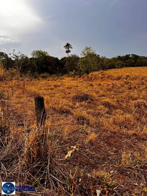 Fazenda / Haras com 3 quartos à venda, 30m2 em Ipora - GO - imagem 7 Foto 7 de Fazenda / Haras com 3 quartos à venda, 30m2 em Ipora - GO