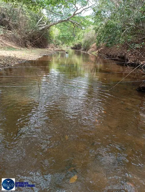 Fazenda / Haras com 3 quartos à venda, 30m2 em Ipora - GO - imagem 3 Foto 3 de Fazenda / Haras com 3 quartos à venda, 30m2 em Ipora - GO