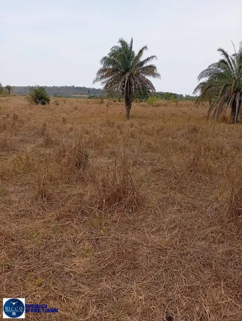 Fazenda / Haras com 3 quartos à venda, 30m2 em Ipora - GO - imagem 4 Foto 4 de Fazenda / Haras com 3 quartos à venda, 30m2 em Ipora - GO