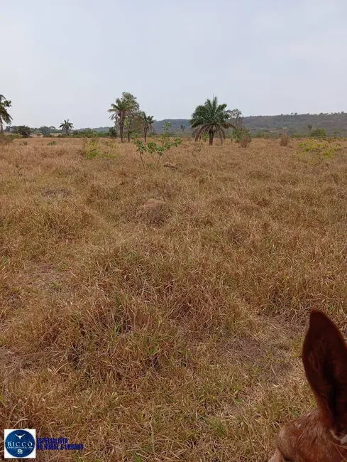 Fazenda / Haras com 3 quartos à venda, 30m2 em Ipora - GO - imagem 5 Foto 5 de Fazenda / Haras com 3 quartos à venda, 30m2 em Ipora - GO