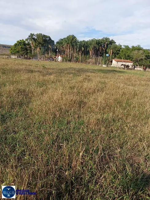 Fazenda / Haras com 3 quartos à venda, 30m2 em Ipora - GO - imagem 1 Foto 1 de Fazenda / Haras com 3 quartos à venda, 30m2 em Ipora - GO