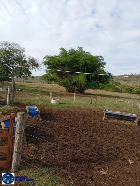 Fazenda / Haras com 3 quartos à venda, 30m2 em Ipora - GO - imagem 9 Foto 9 de Fazenda / Haras com 3 quartos à venda, 30m2 em Ipora - GO