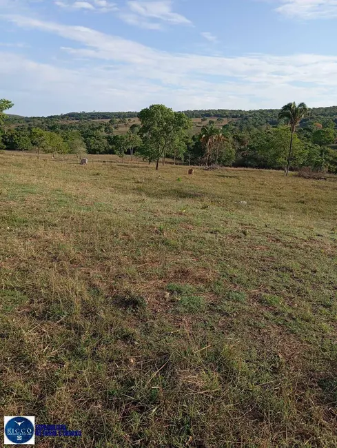 Fazenda / Haras com 3 quartos à venda, 30m2 em Ipora - GO - imagem 2 Foto 2 de Fazenda / Haras com 3 quartos à venda, 30m2 em Ipora - GO