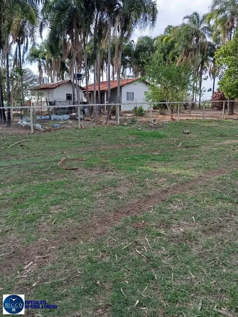 Fazenda / Haras com 3 quartos à venda, 30m2 em Ipora - GO - imagem 8 Foto 8 de Fazenda / Haras com 3 quartos à venda, 30m2 em Ipora - GO