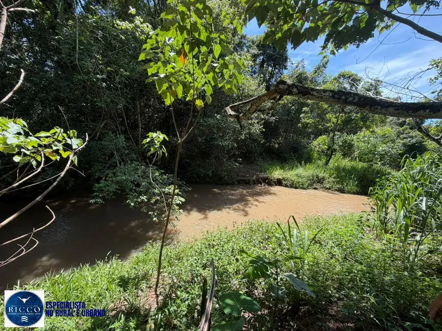 Foto 6 de Chácara com 4 quartos à venda, 30000m2 em Aragoiania - GO