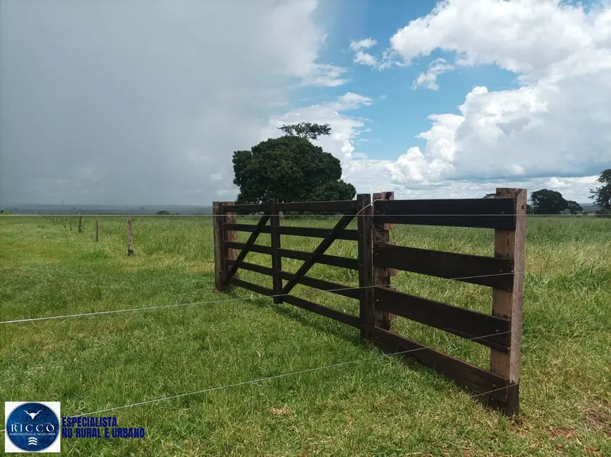 Foto 2 de Fazenda / Haras à venda, 210m2 em Itaruma - GO
