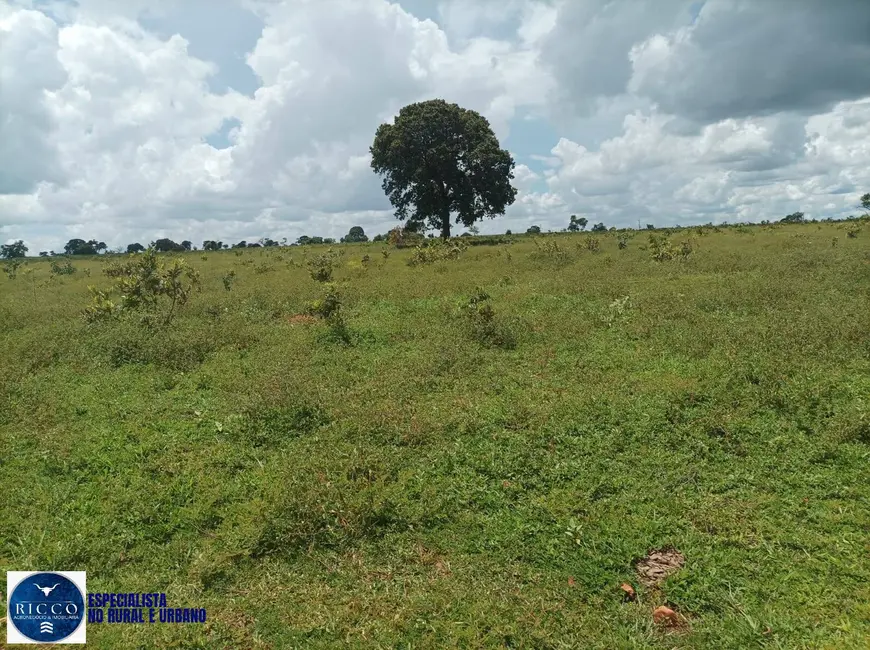 Foto 5 de Fazenda / Haras à venda, 210m2 em Itaruma - GO