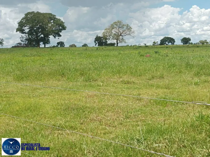 Foto 4 de Fazenda / Haras à venda, 210m2 em Itaruma - GO