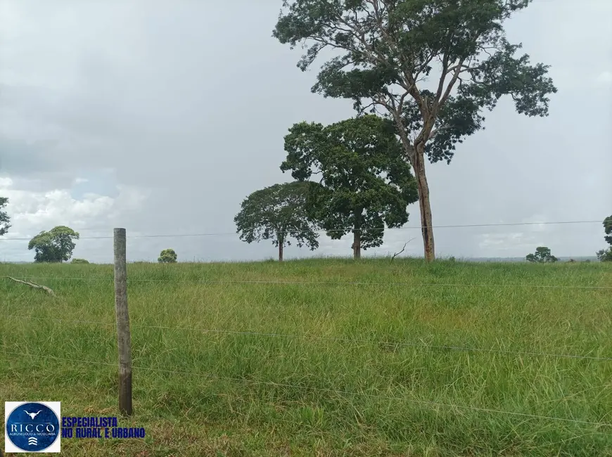 Foto 7 de Fazenda / Haras à venda, 210m2 em Itaruma - GO