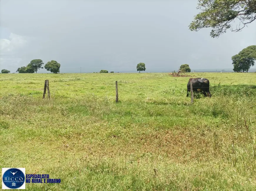 Foto 6 de Fazenda / Haras à venda, 210m2 em Itaruma - GO