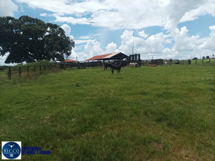 Foto 8 de Fazenda / Haras à venda, 210m2 em Itaruma - GO