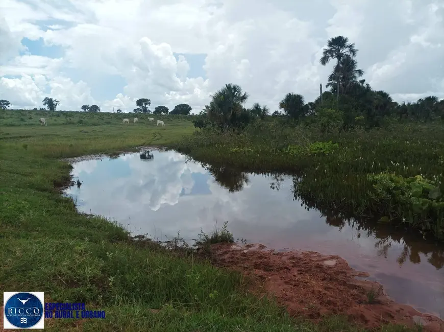 Foto 1 de Fazenda / Haras à venda, 210m2 em Itaruma - GO