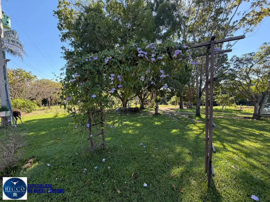 Foto 8 de Chácara com 3 quartos à venda, 53000m2 em Aragoiania - GO