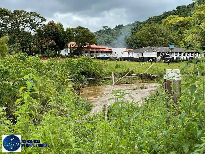 Foto 4 de Fazenda / Haras com 3 quartos à venda, 37m2 em Pirenopolis - GO