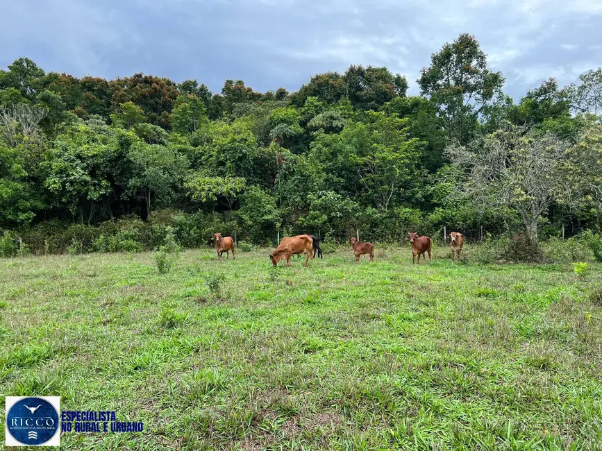 Foto 6 de Chácara com 4 quartos à venda, 17m2 em Pirenopolis - GO