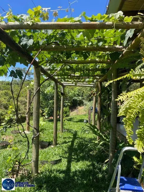 Foto 5 de Chácara com 3 quartos à venda em Abadiania - GO