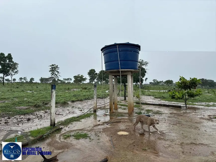 Foto 7 de Fazenda / Haras com 3 quartos à venda, 90m2 em Araguacu - TO