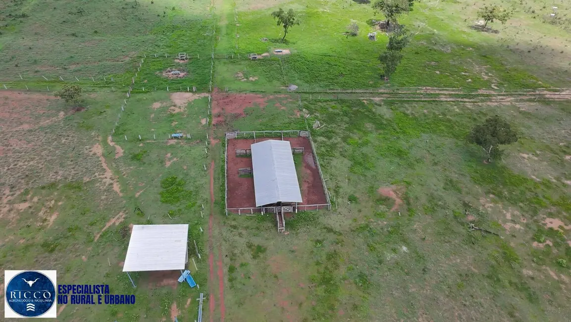 Foto 5 de Fazenda / Haras com 3 quartos à venda, 90m2 em Araguacu - TO