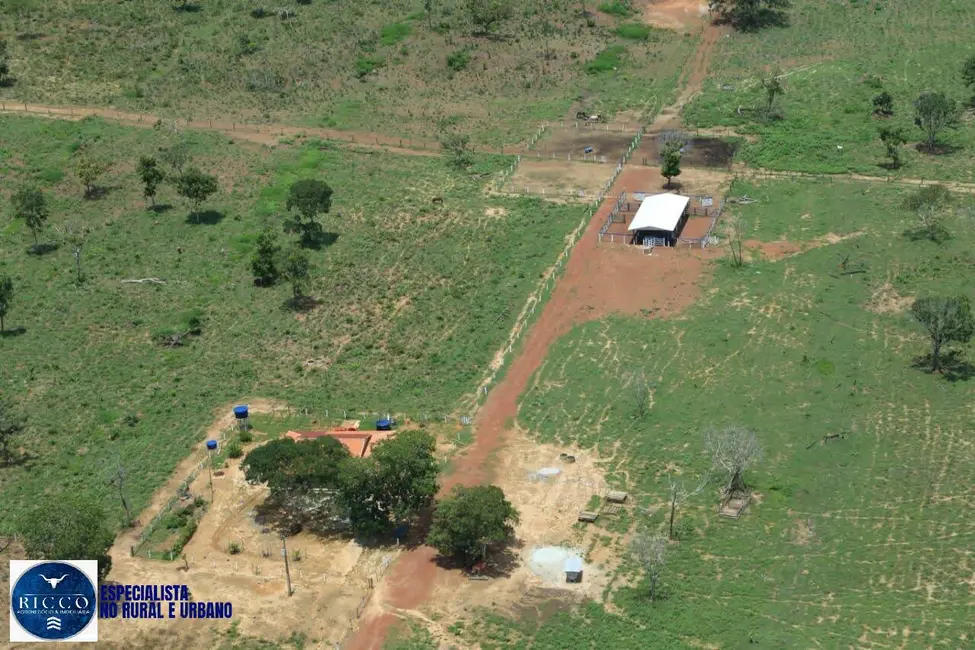 Foto 3 de Fazenda / Haras com 3 quartos à venda, 90m2 em Araguacu - TO