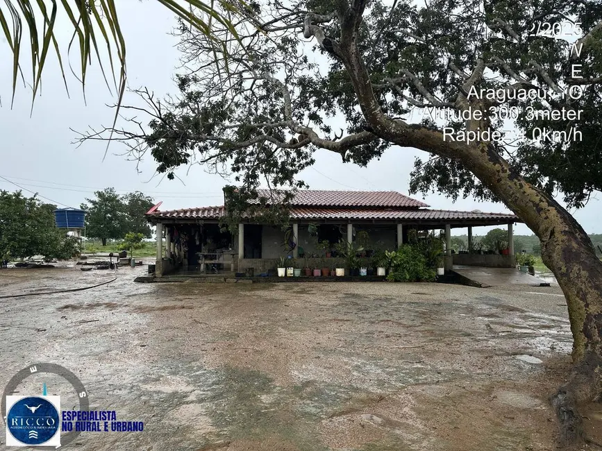 Foto 8 de Fazenda / Haras com 3 quartos à venda, 90m2 em Araguacu - TO