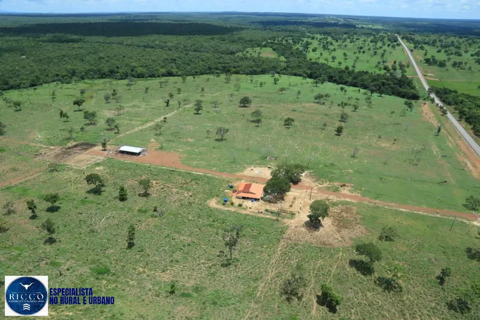 Foto 6 de Fazenda / Haras com 3 quartos à venda, 90m2 em Araguacu - TO