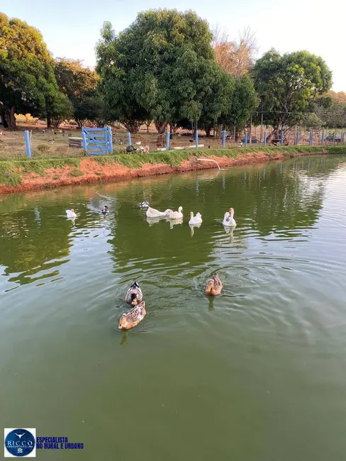 Foto 2 de Chácara com 3 quartos à venda em Hidrolandia - GO