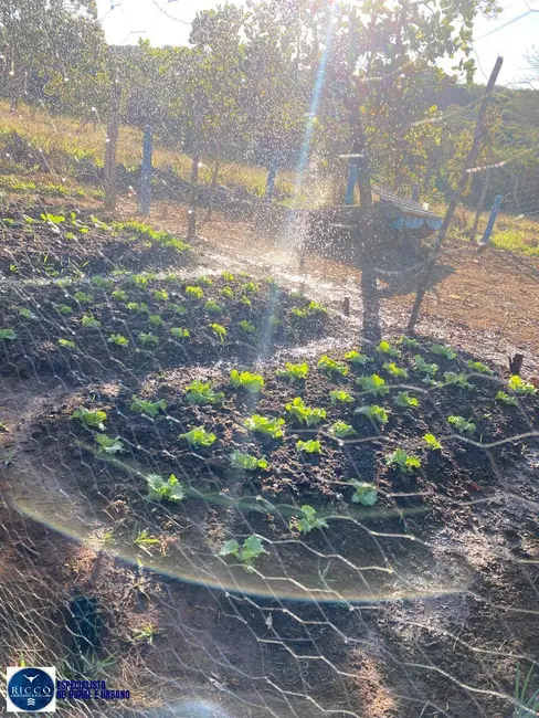 Foto 4 de Chácara com 3 quartos à venda em Hidrolandia - GO