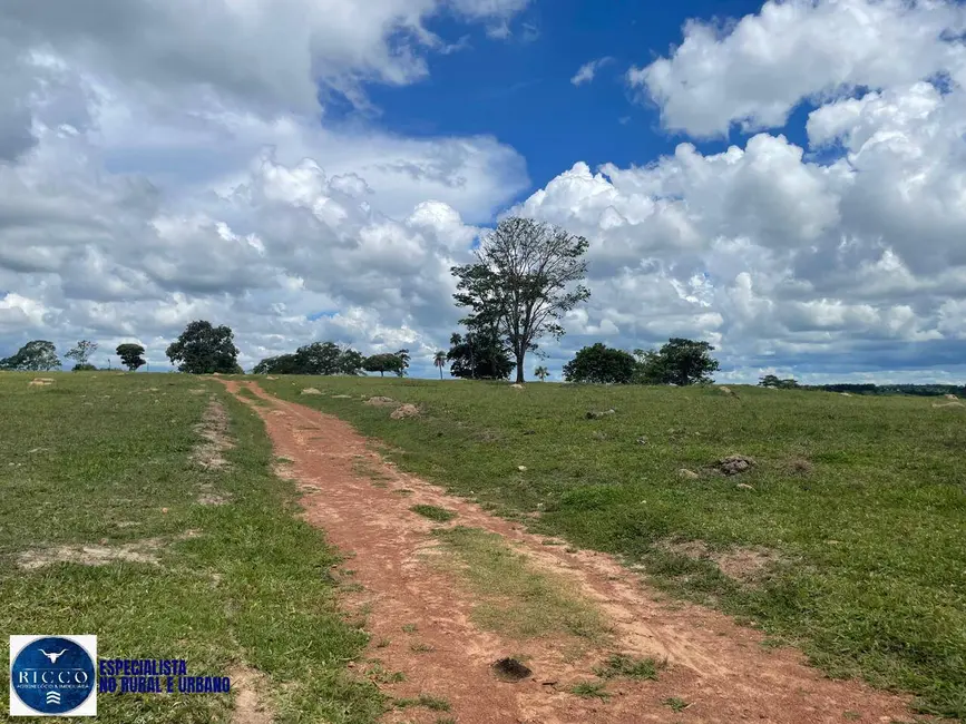 Foto 9 de Chácara com 3 quartos à venda em Itaberai - GO