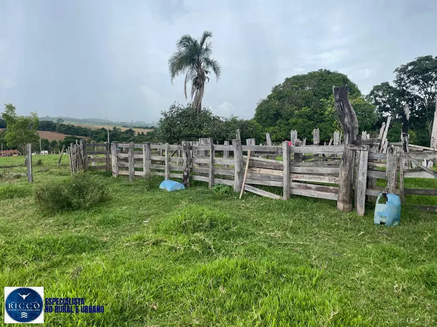 Foto 2 de Chácara com 3 quartos à venda em Itaberai - GO