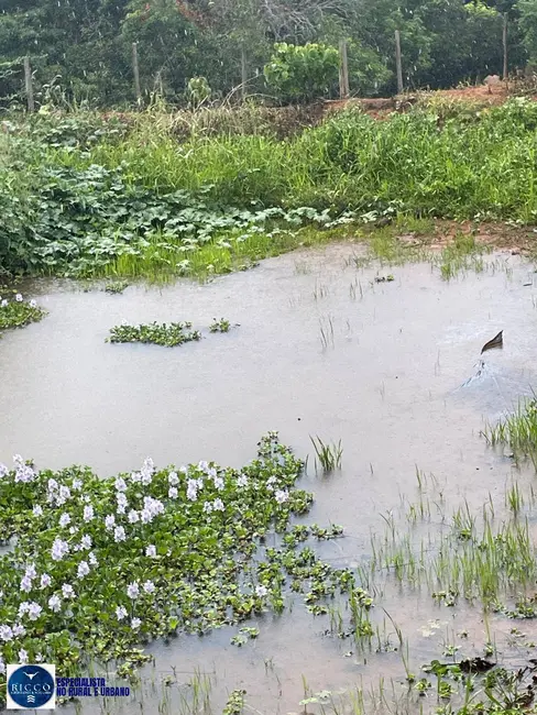 Foto 5 de Chácara com 3 quartos à venda em Itaberai - GO