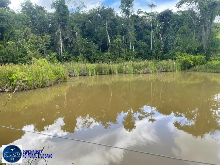 Foto 3 de Chácara com 3 quartos à venda em Itaberai - GO