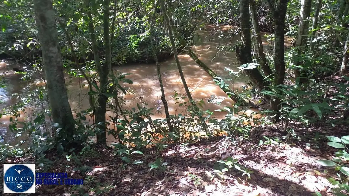 Chácara com 3 quartos à venda, 24000m2 em Bonfinopolis - GO - imagem 5 Foto 5 de Chácara com 3 quartos à venda, 24000m2 em Bonfinopolis - GO