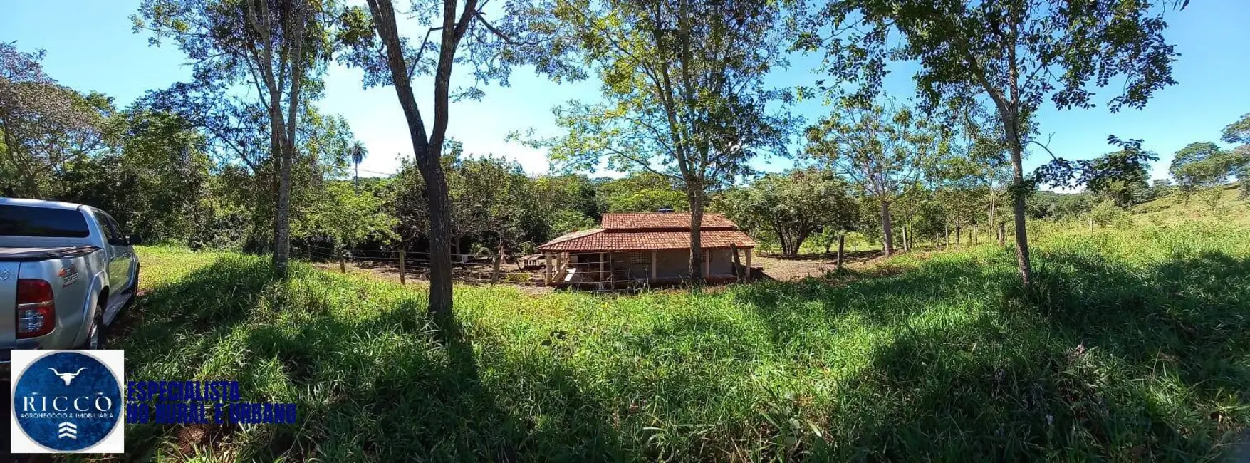 Chácara com 3 quartos à venda, 24000m2 em Bonfinopolis - GO - imagem 2 Foto 2 de Chácara com 3 quartos à venda, 24000m2 em Bonfinopolis - GO