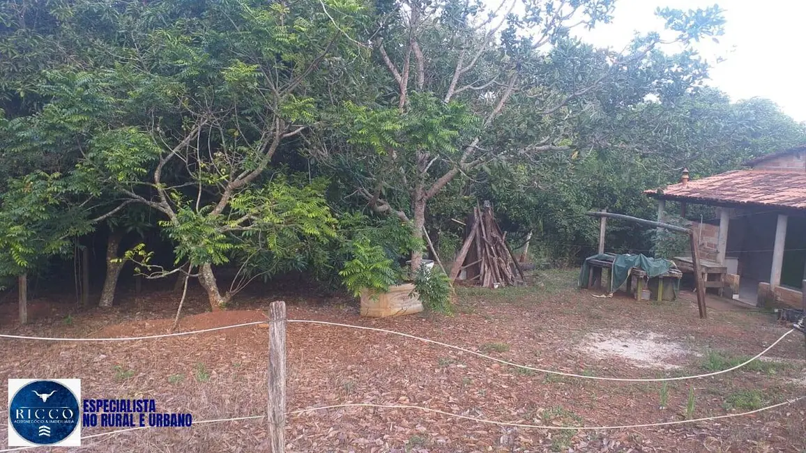 Chácara com 3 quartos à venda, 24000m2 em Bonfinopolis - GO - imagem 8 Foto 8 de Chácara com 3 quartos à venda, 24000m2 em Bonfinopolis - GO