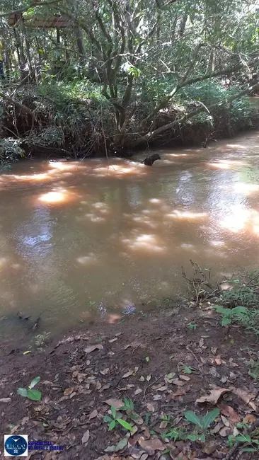 Chácara com 3 quartos à venda, 24000m2 em Bonfinopolis - GO - imagem 3 Foto 3 de Chácara com 3 quartos à venda, 24000m2 em Bonfinopolis - GO